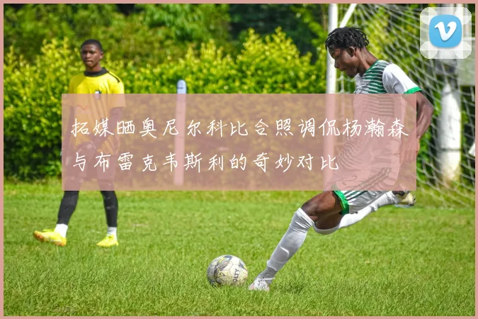 拓媒晒奥尼尔科比合照调侃杨瀚森与布雷克韦斯利的奇妙对比