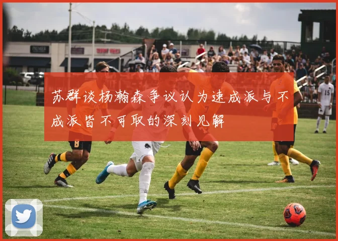 苏群谈杨瀚森争议认为速成派与不成派皆不可取的深刻见解