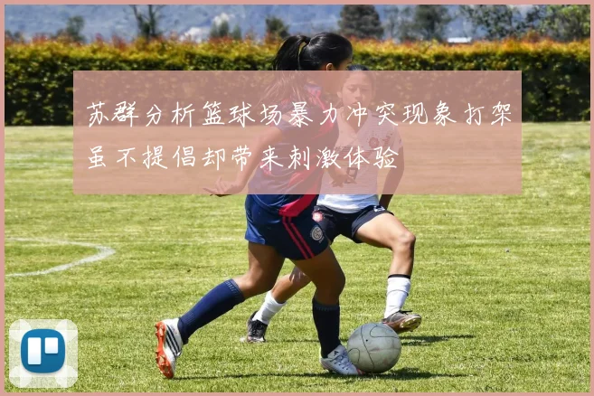 苏群分析篮球场暴力冲突现象打架虽不提倡却带来刺激体验