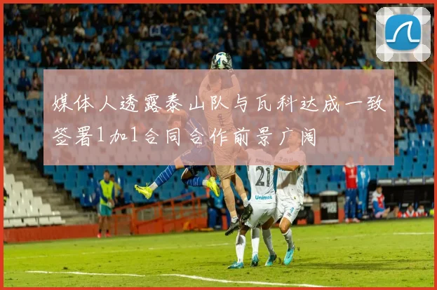 媒体人透露泰山队与瓦科达成一致签署1加1合同合作前景广阔